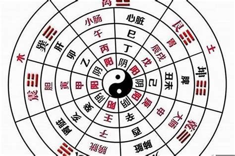 陰金|八字命学